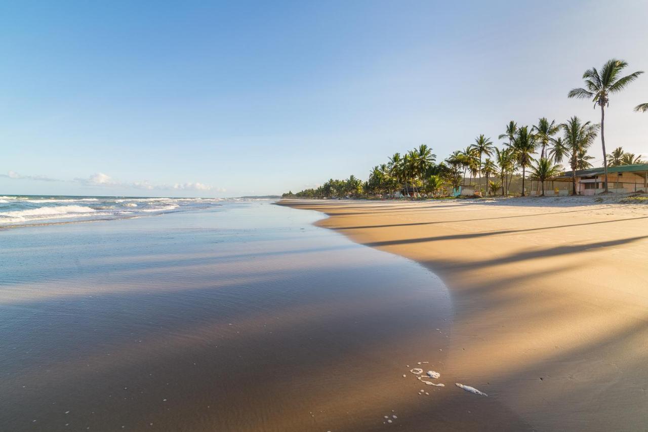 Belissimo Apto A 500M Praias Do Sul อิเลอุส ภายนอก รูปภาพ